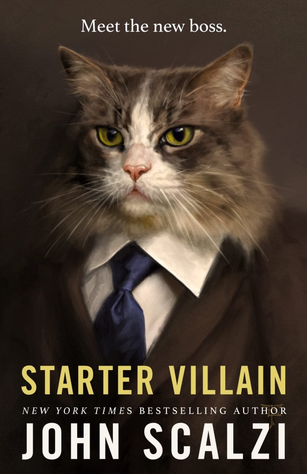 cover of starter villain novel