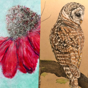 Image of painted poppy flower and an owl