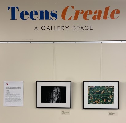 Image of State College Photo Club Youth Showcase images on Teens Create Gallery Wall